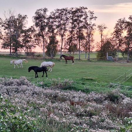 Villa Js Feriendomizile Haus Abendrot Hasselfelde Esterno foto